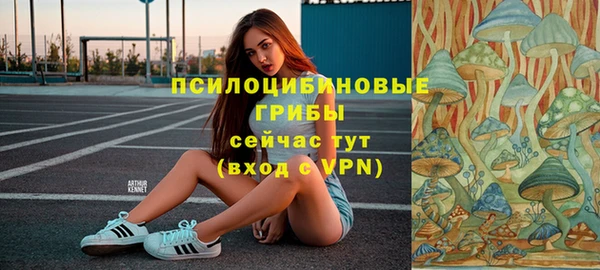 spice Балахна
